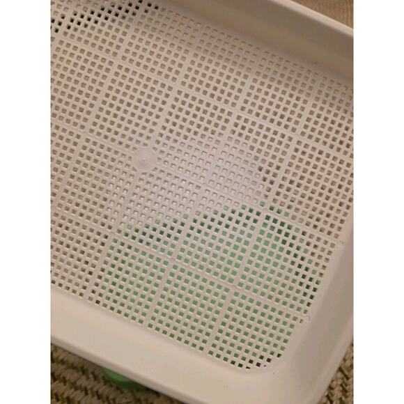 4 Pcs Seed Sprouter Tray with Drain Holes for Microgreens Growing Kit - Picture 13 of 16